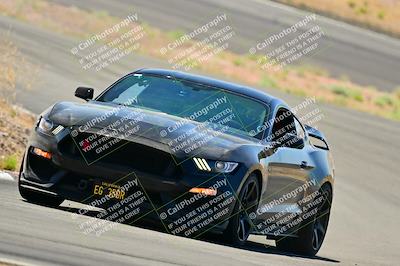 media/May-10-2025-Cobra Club (Sat) [[7b9c5022b1]]/White Group/Session 1 (Turn 4)/